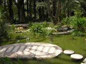 location de plantes verts gestivert